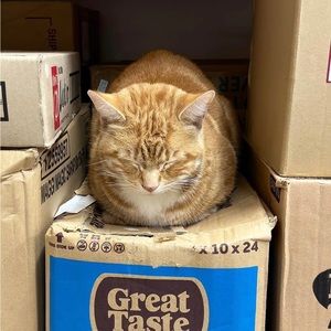 Meet your Posher, Harley